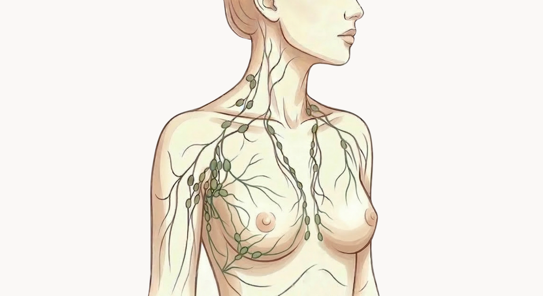 Are Underwire Bras Bad for Your Lymphatic Health? What a Breast Specialist Told Me