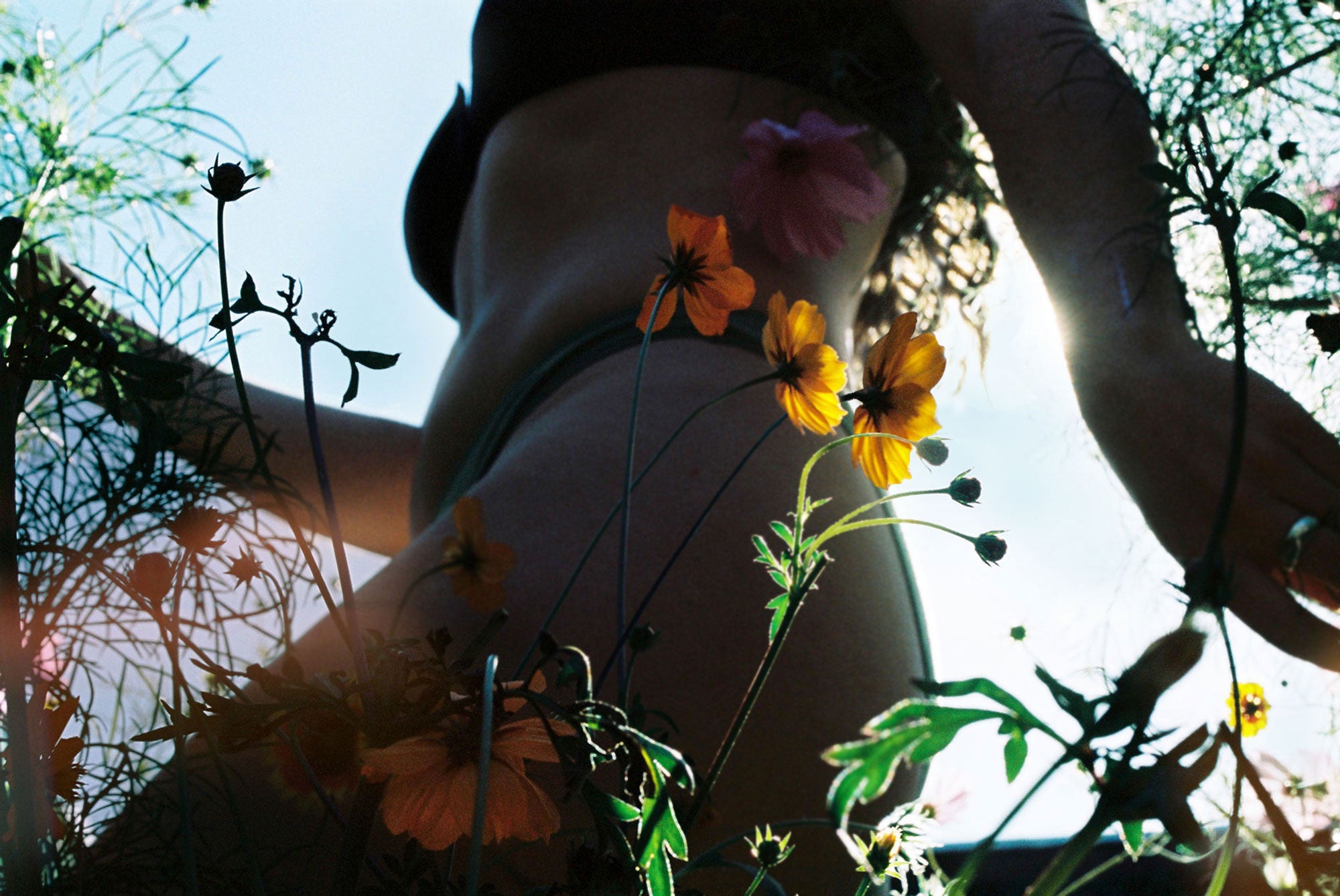 wearing Angela Bra in Maven Indigo and Whitney Bikini in Olive wildflowers at sunset