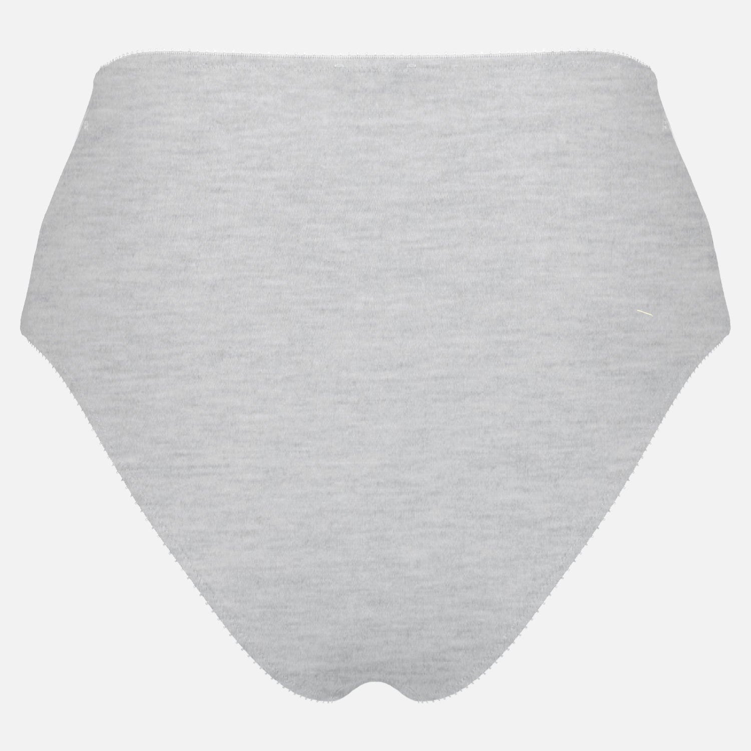 Whitney High Waist Bikini - Calm