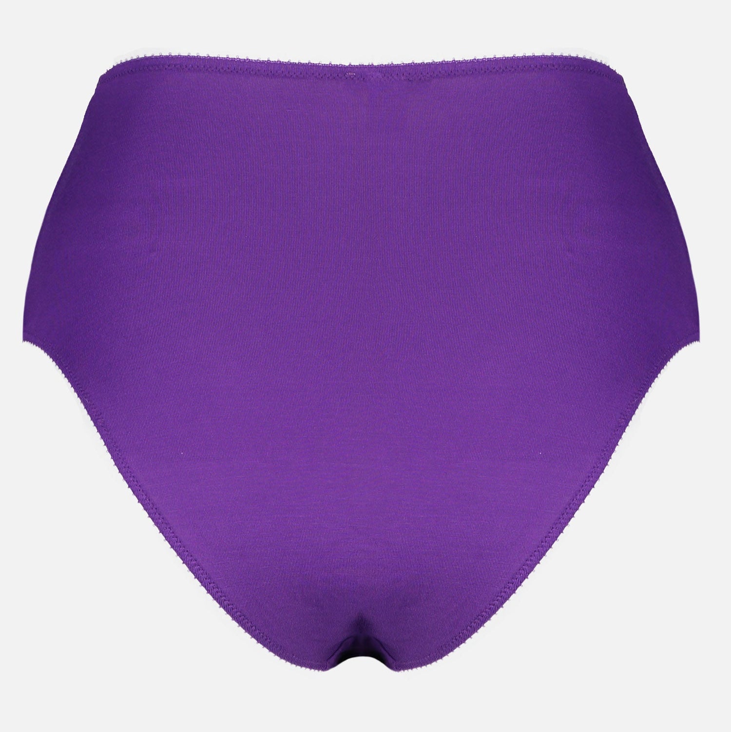 Whitney High Waist Bikini - Future